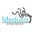 Разработка сервиса 3D-печати Medusa.online. Проект выиграл приз стартап года.
