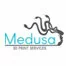 Разработка сервиса 3D-печати Medusa.online. Проект выиграл приз стартап года.
