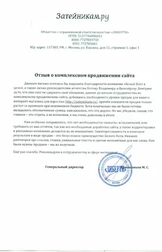 Комплексное продвижение интернет-магазина Затейникам.ру
